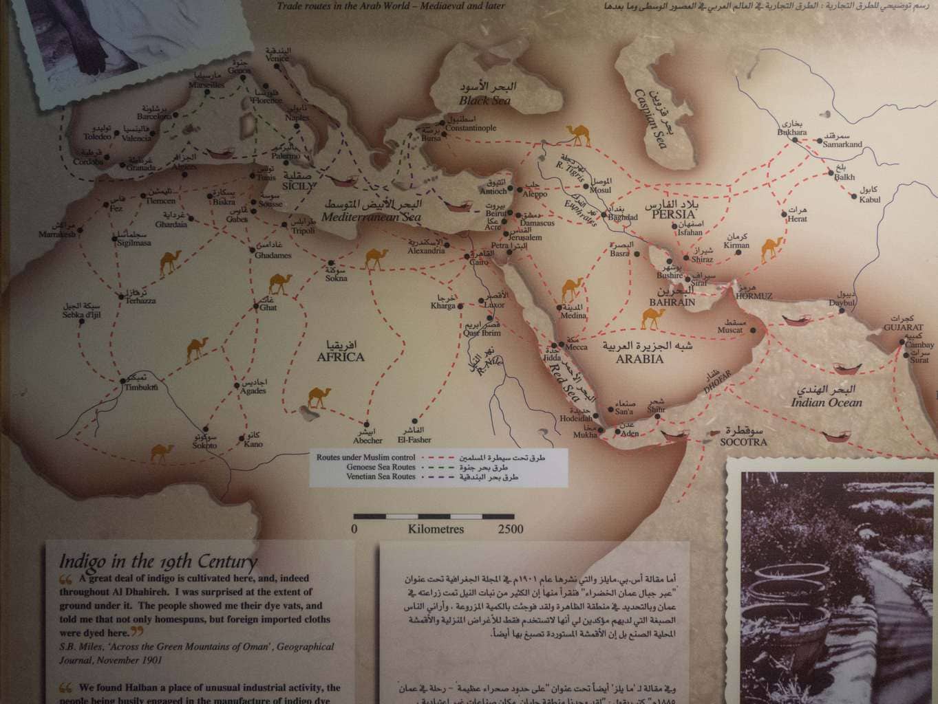 Map of Inidgo in the 19th Century