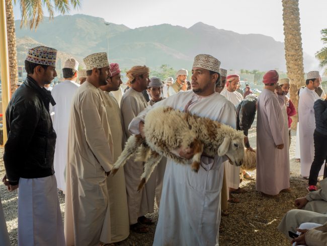 Nizwa Market Sheep for sale