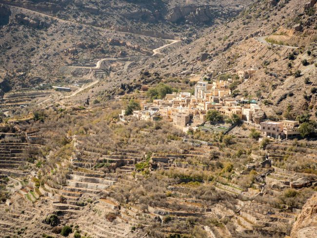 Terraced view