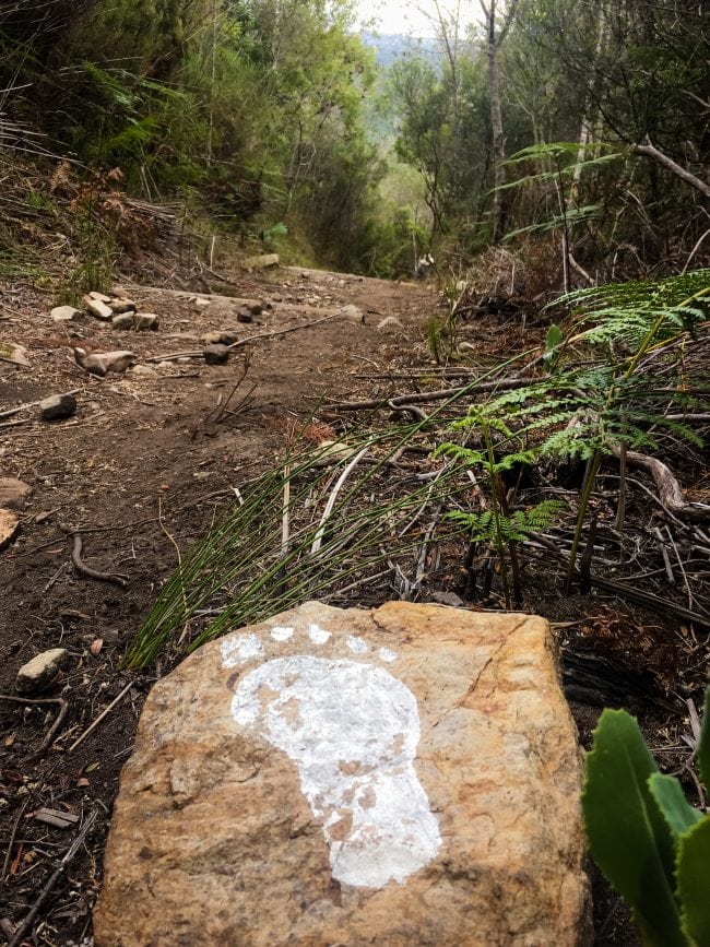 Follow the footpath in the Kalanderkloof trail