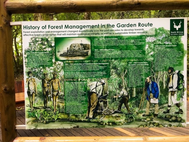 Forest management on the Garden Route