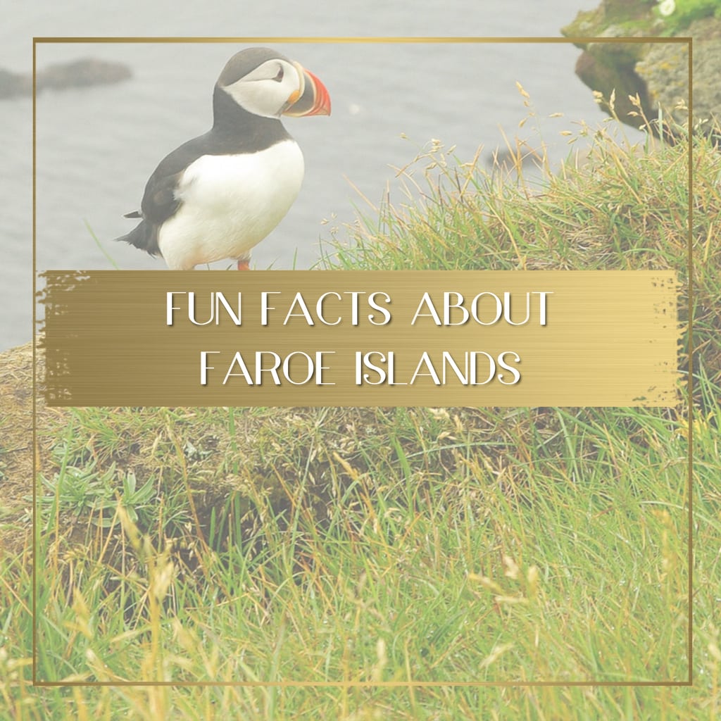 Fun facts about Faroe Islands feature