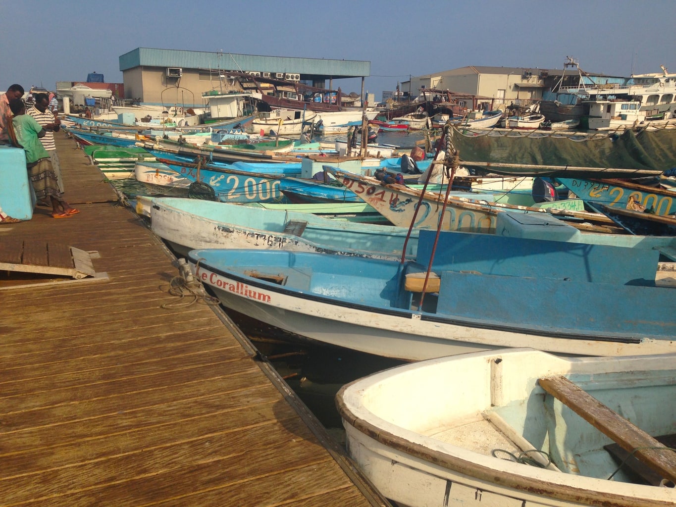 djibouti tourist