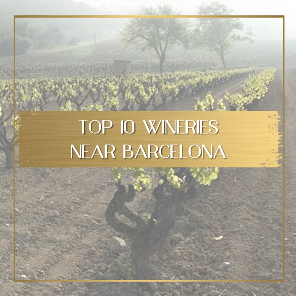 Wineries near Barcelona feature