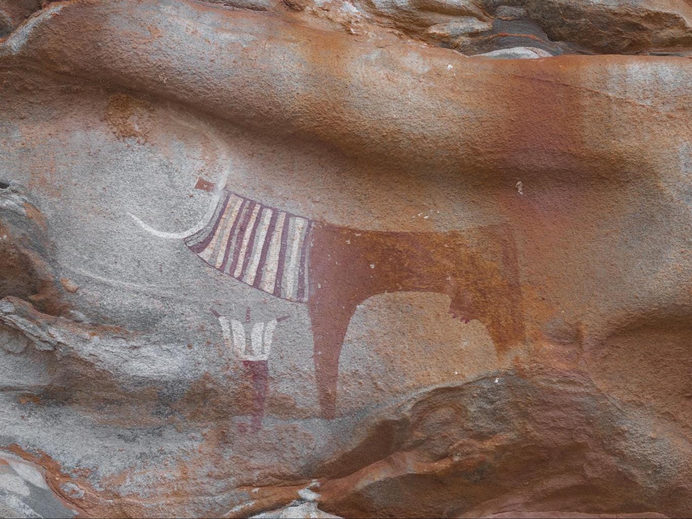 Bull and a human figure at Laas Geel