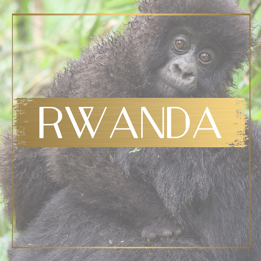 Destination Rwanda