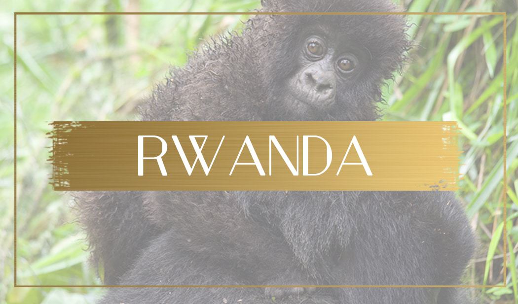 Destination Rwanda main