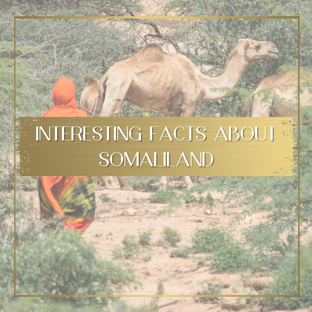 Facts about Somaliland feature