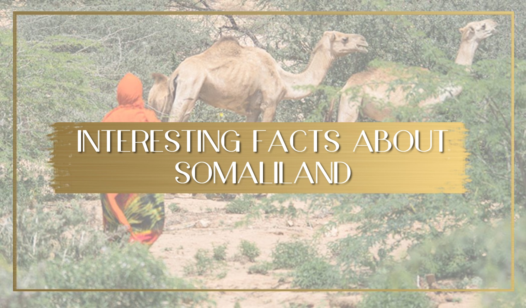 Facts about Somaliland main