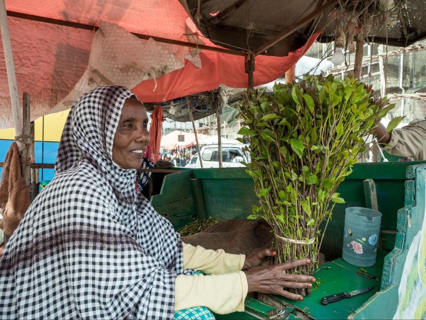 Khat seller in Hargeisa