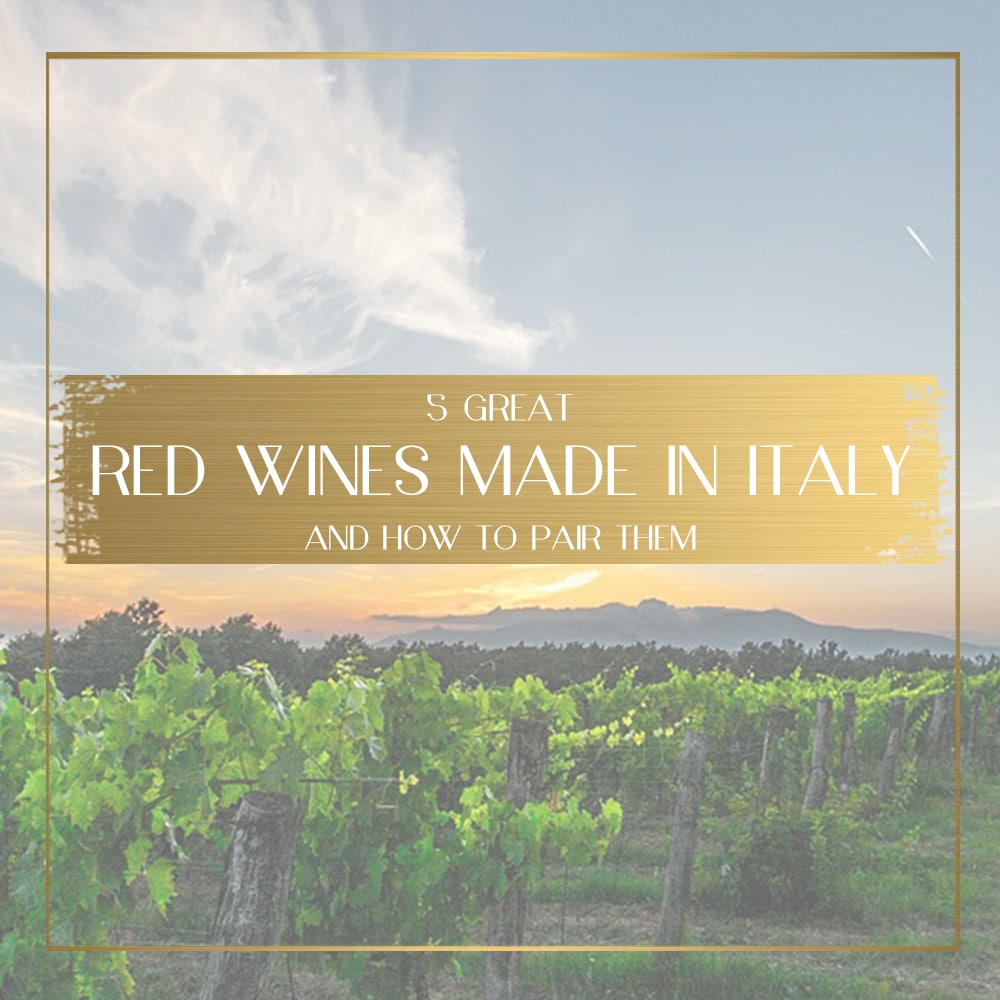 Red wines made in Italy feature