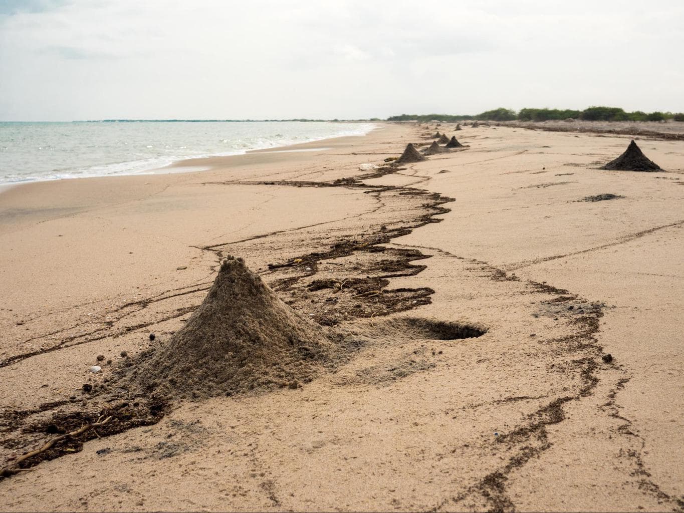 The beach in Berbera