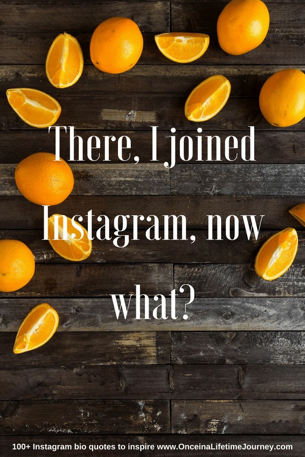 "100+ Instagram bio quotes"