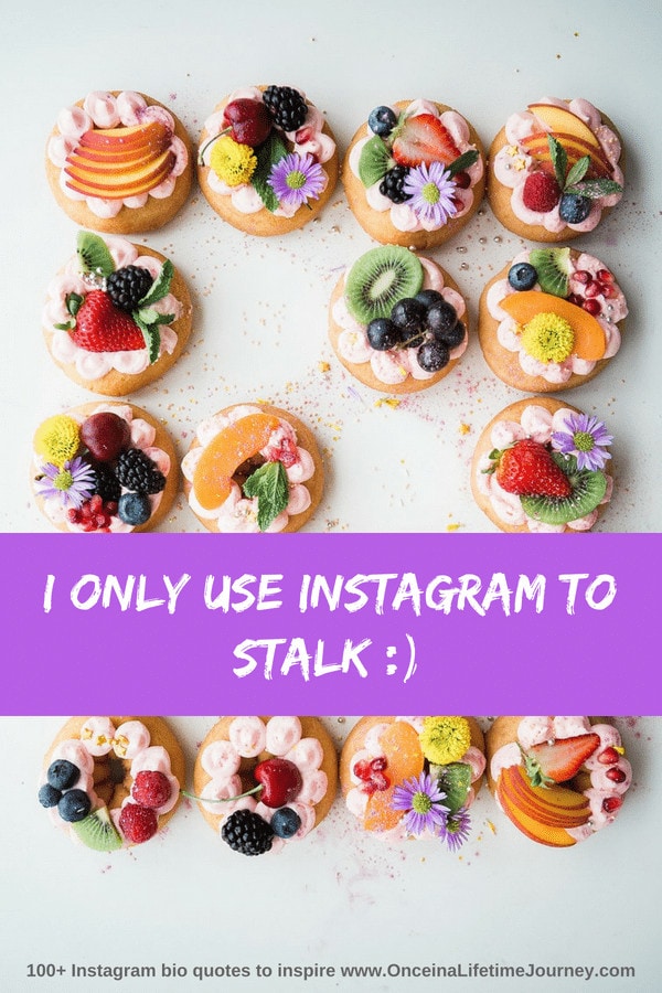 short travel quotes for instagram bio