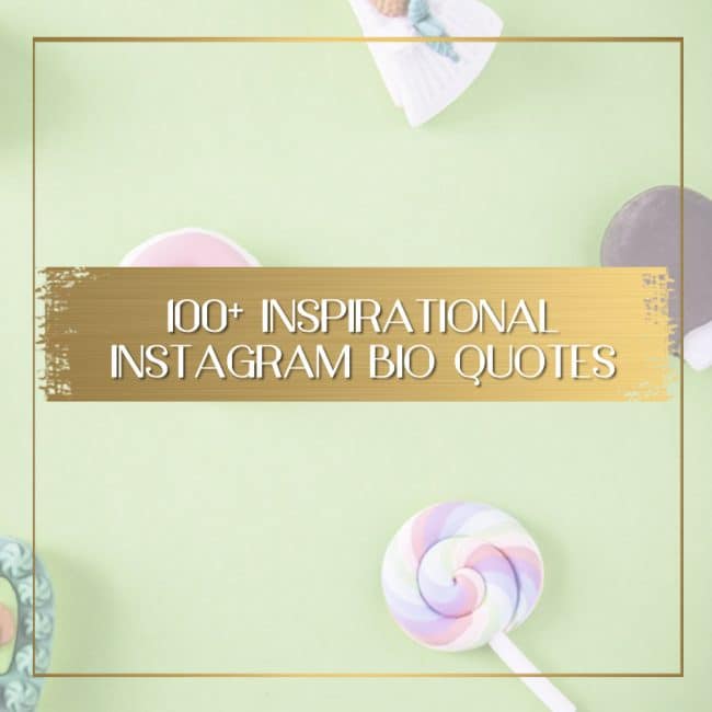 cool quotes for instagram bio