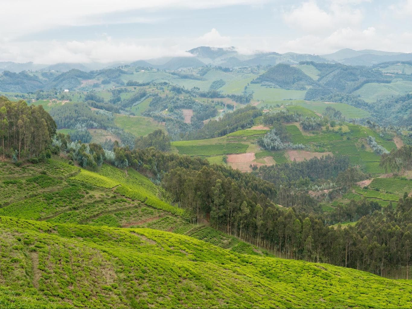 The landscapes near Gishwati Forest