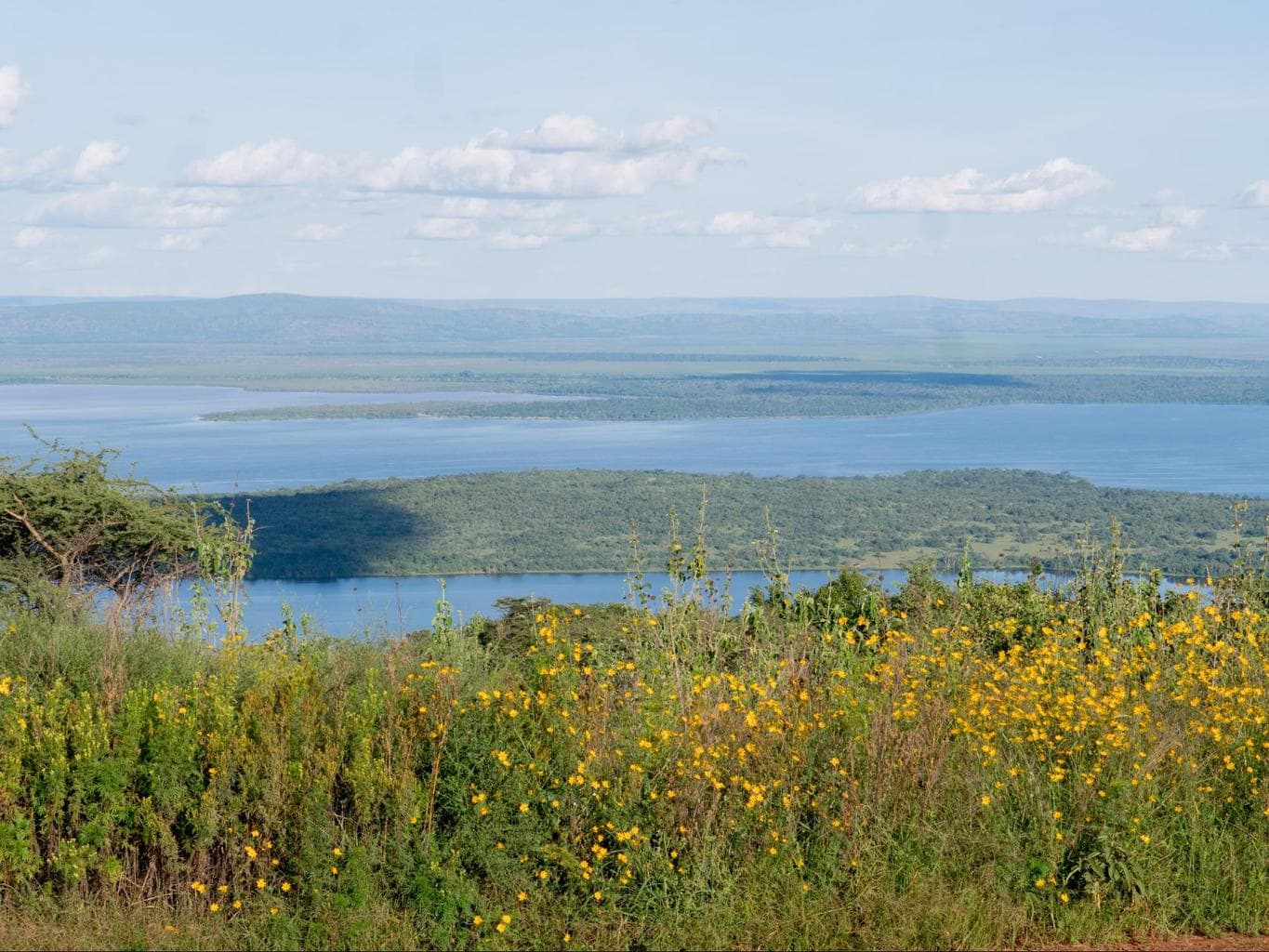 The swamps of Akagera National Park and Tanzania in the horizon