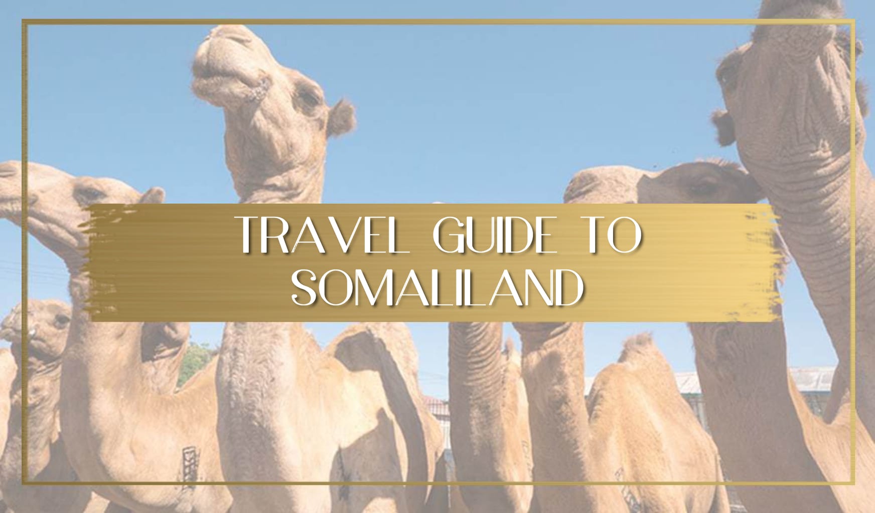 Things to do in Somaliland main