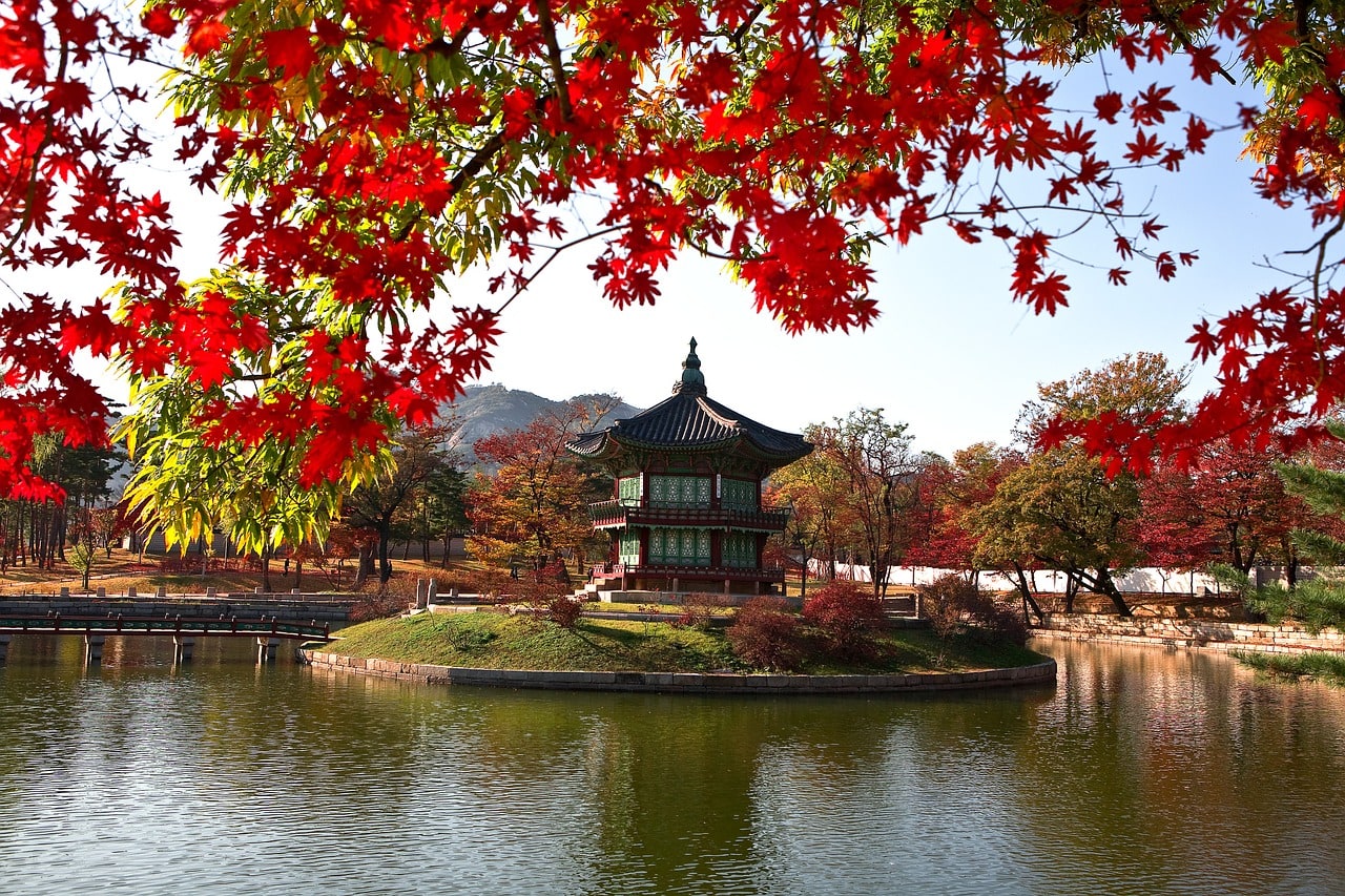 Autumn in Korea is a beautiful sight
