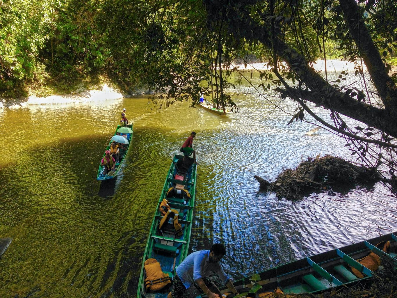 Exploring the jungles fo Brunei