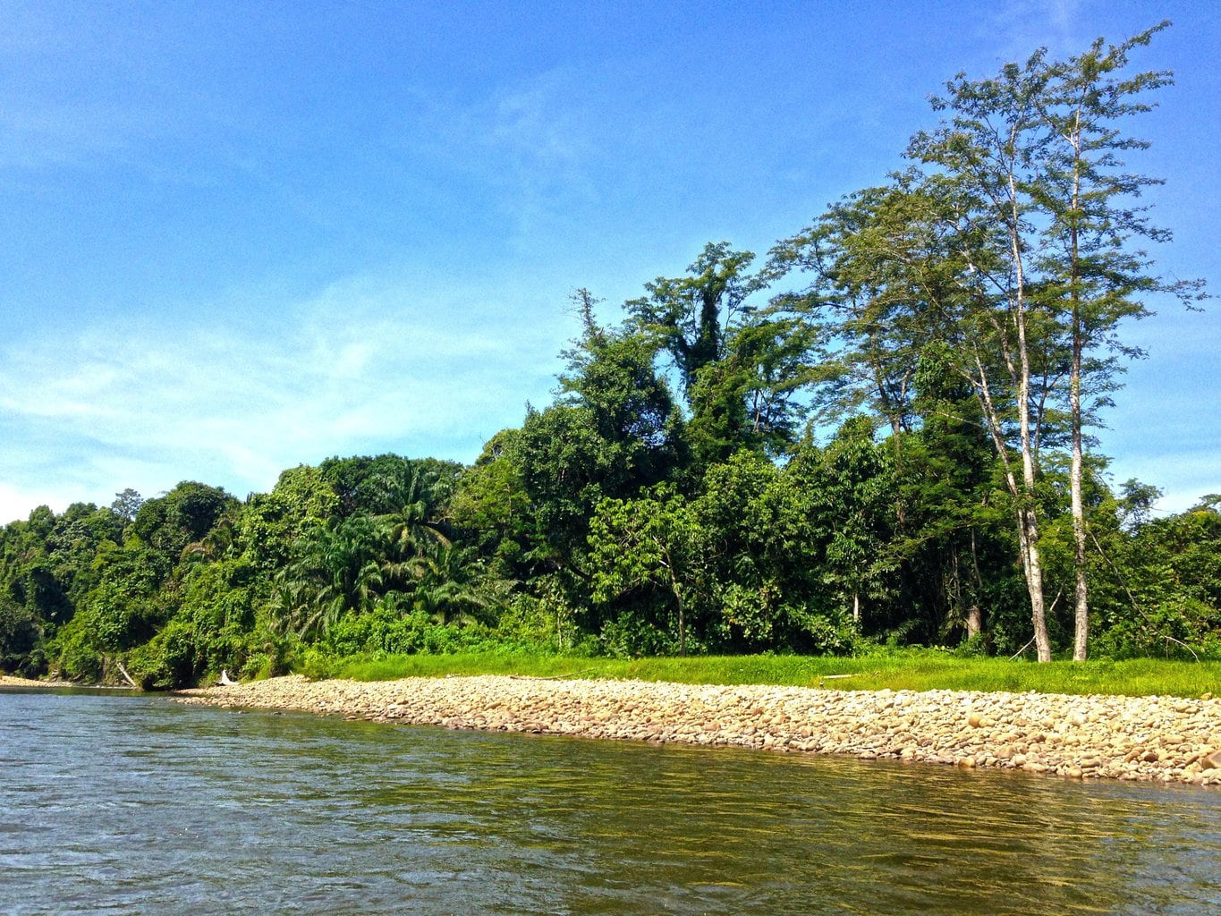 Exploring the jungles of Brunei