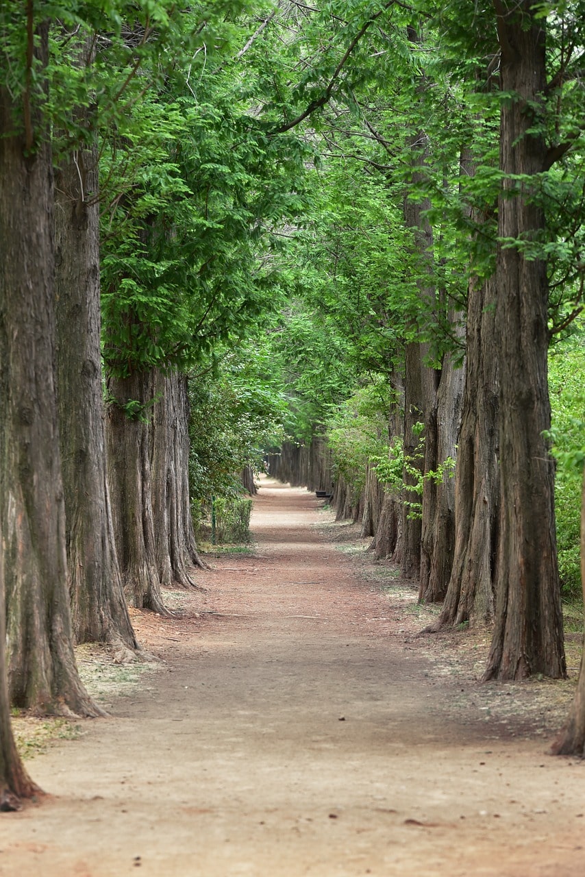 Green areas in Sangam-dong, Mapo-gu