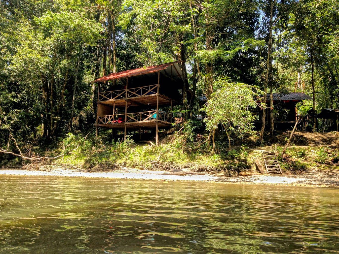 House in the jungle of Brunei