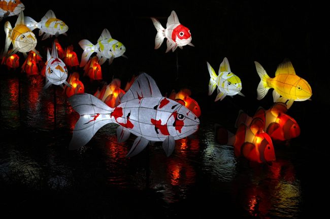 Lantern festival art 1