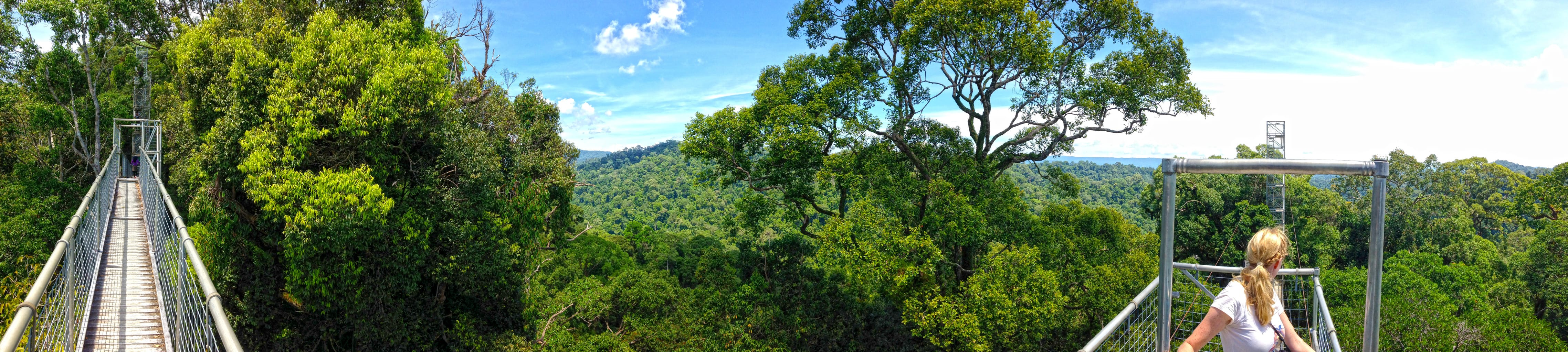 Panoramic shot from the bridge