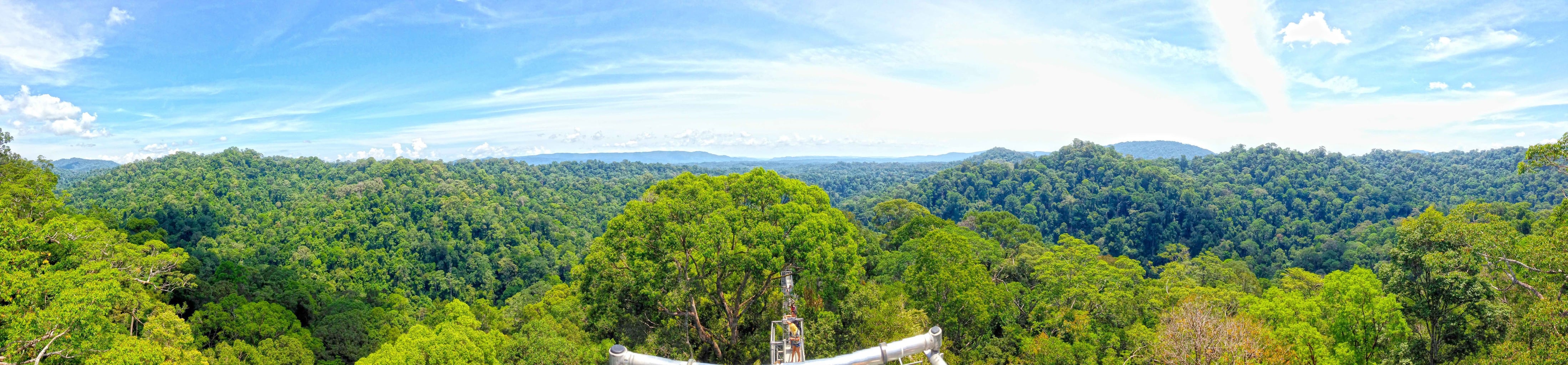 View from the top of Brunei