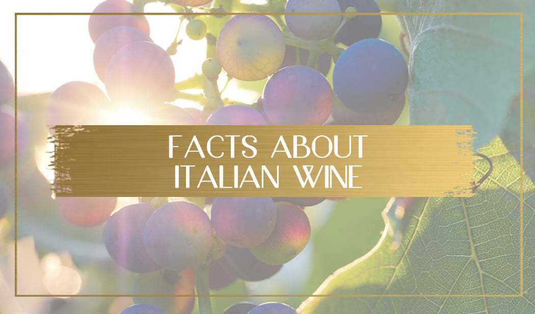 Facts About Italian Wine main