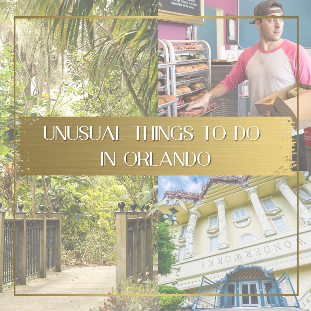 Unusual things to do in Orlando feature