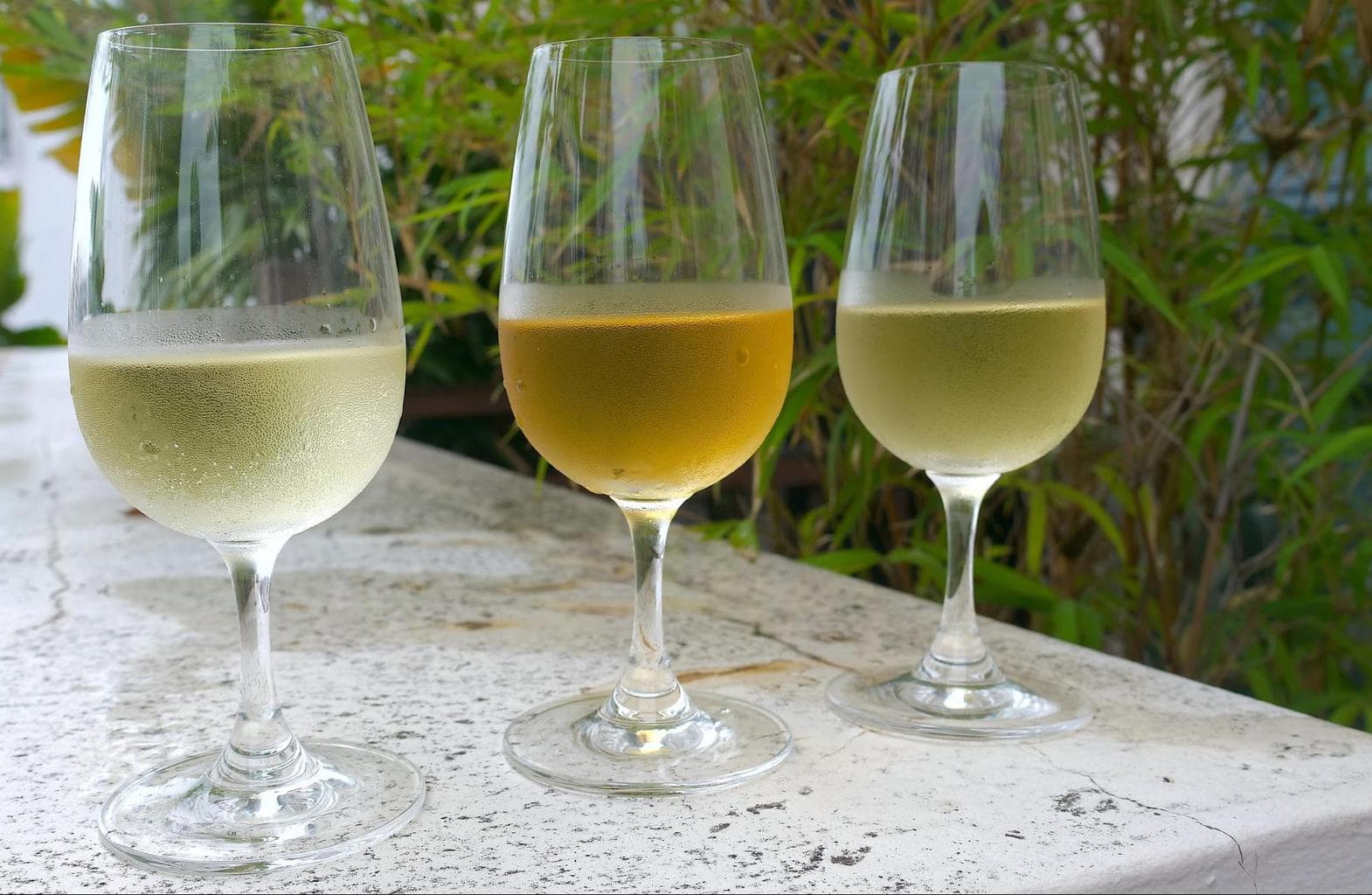 Three full bodied white wines