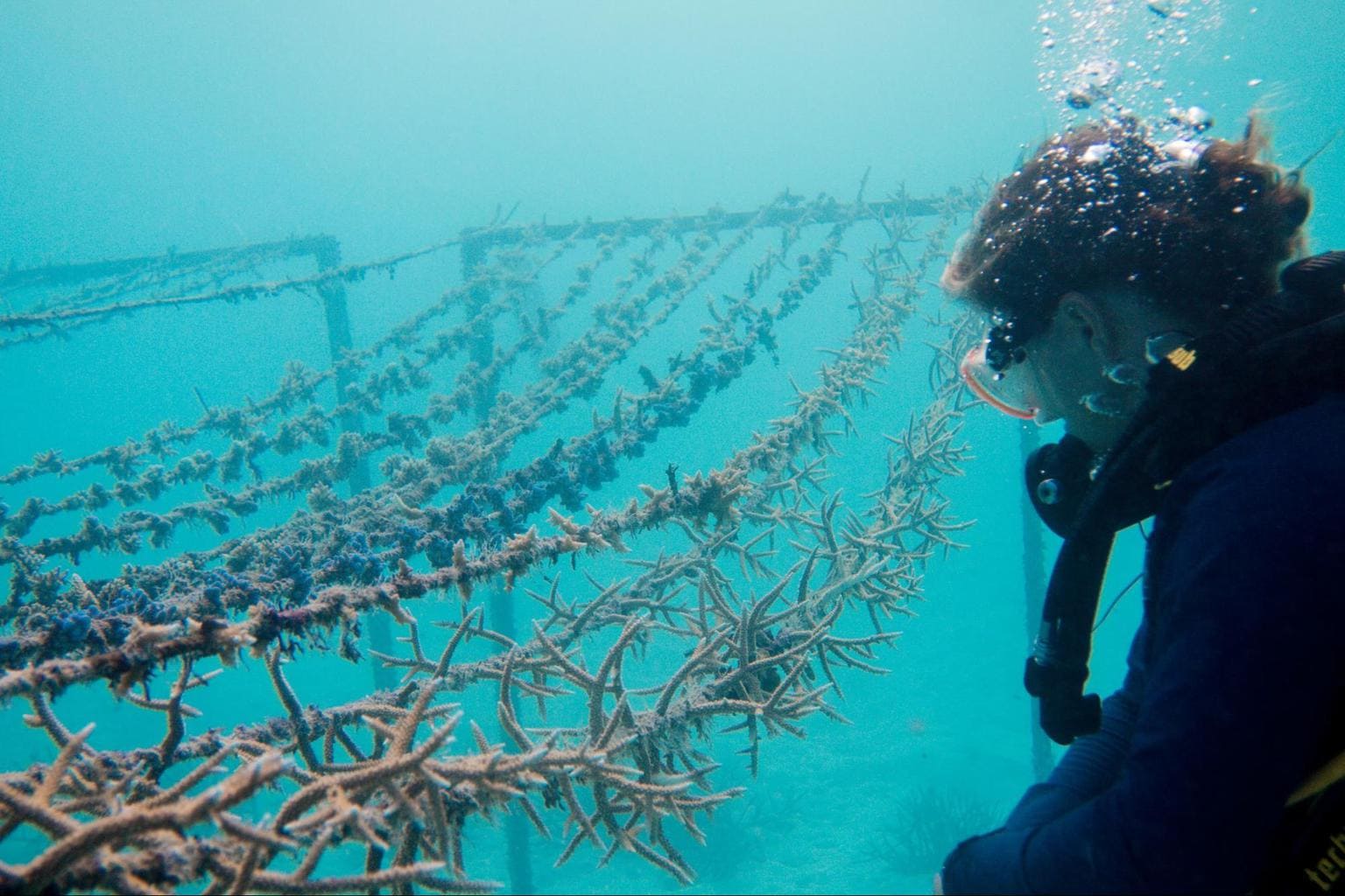 Coral lines at Gili Lankanfushi - Courtesy of Gili Lankanfushi