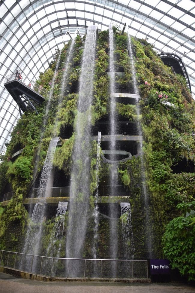 Flower Dome Singapore