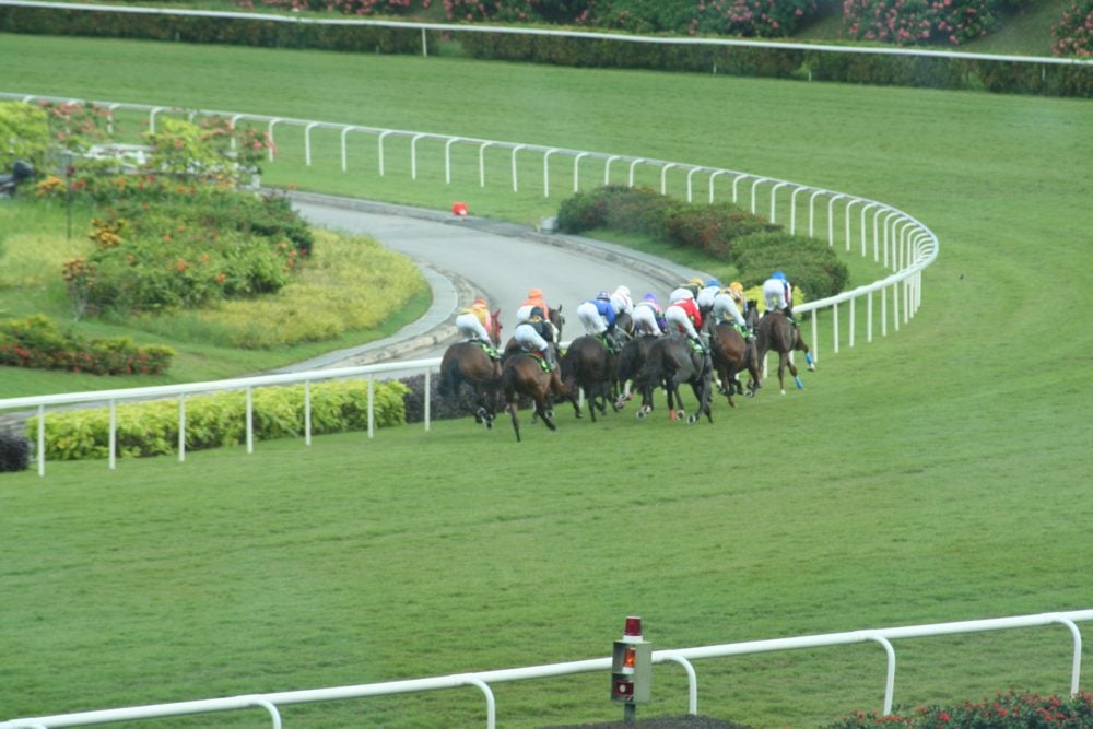 Horse race at Kranji Racecourse