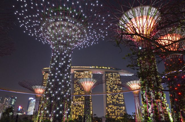 Supertrees at night