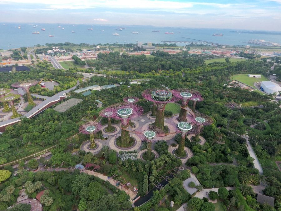 Supertrees from above