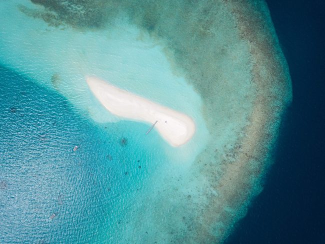 Alone on the sandbank