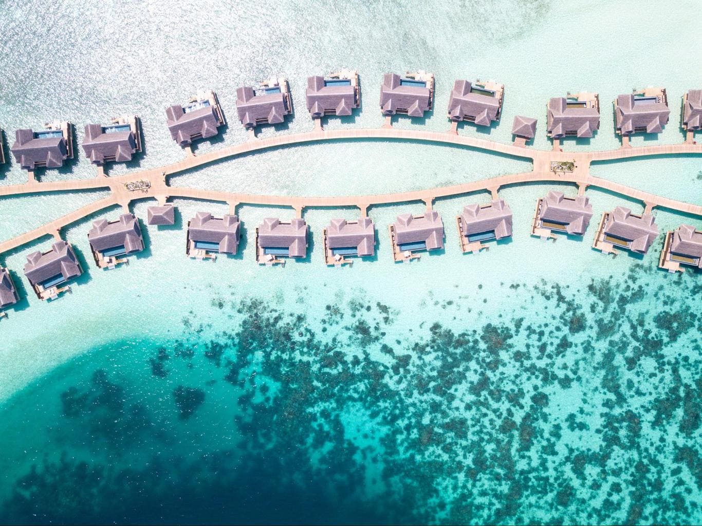 The luxury water villas at Joali Maldives