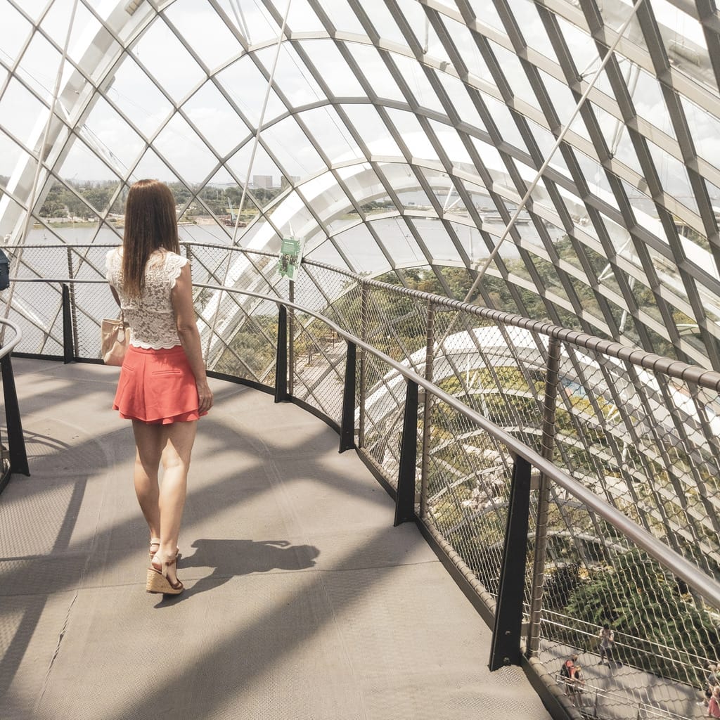 "Instagrammable Singapore Cloud Forest"