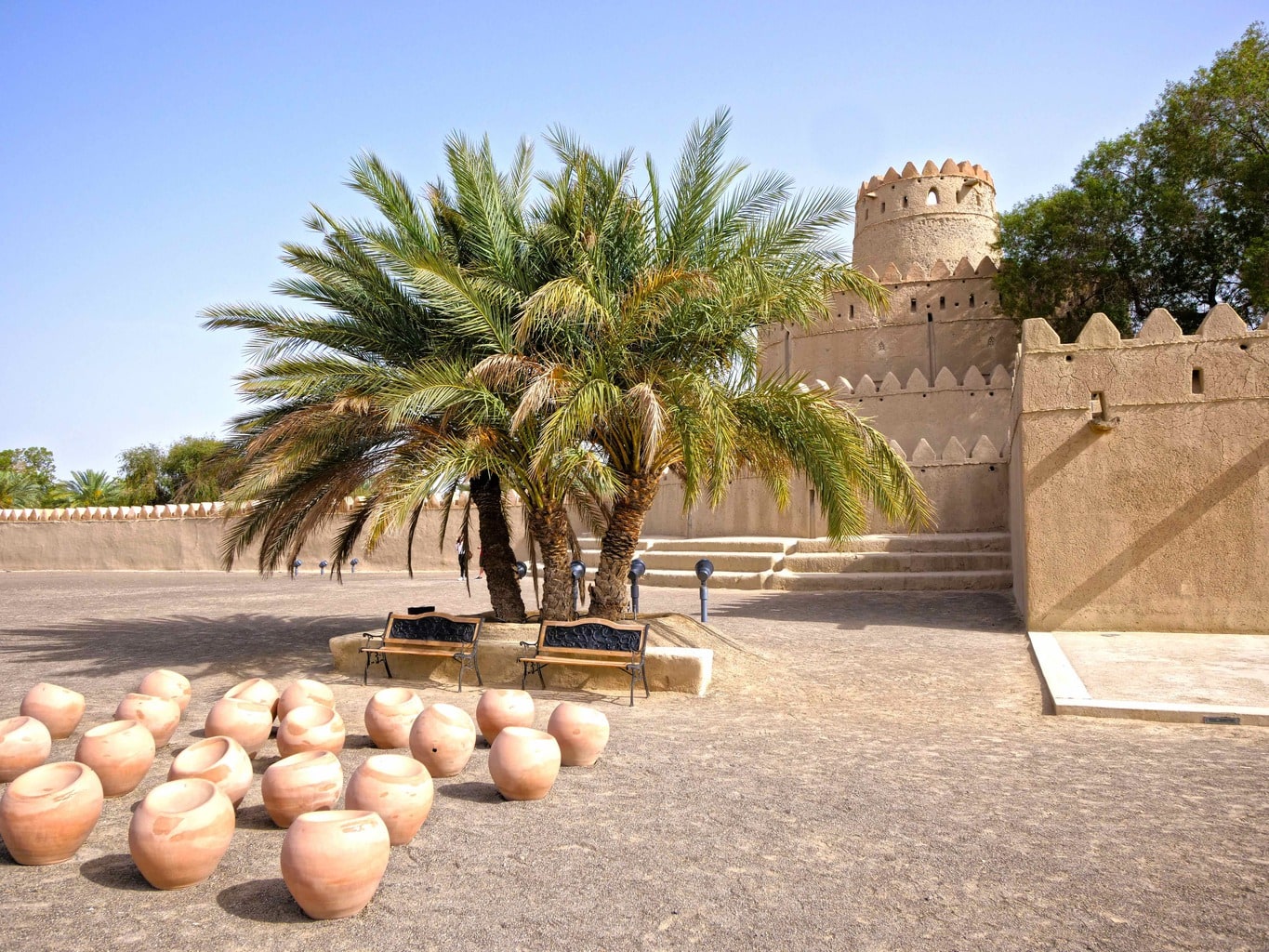 Al Jahili Fort palm tree