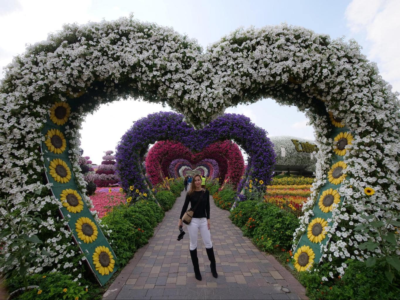 Dubai Miracle Garden flowers