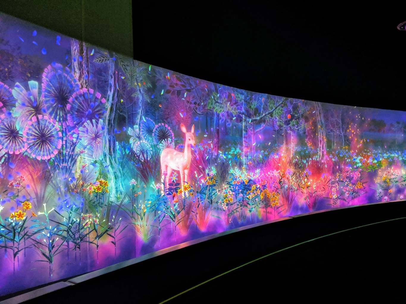 TeamLab installation National Museum Singapore