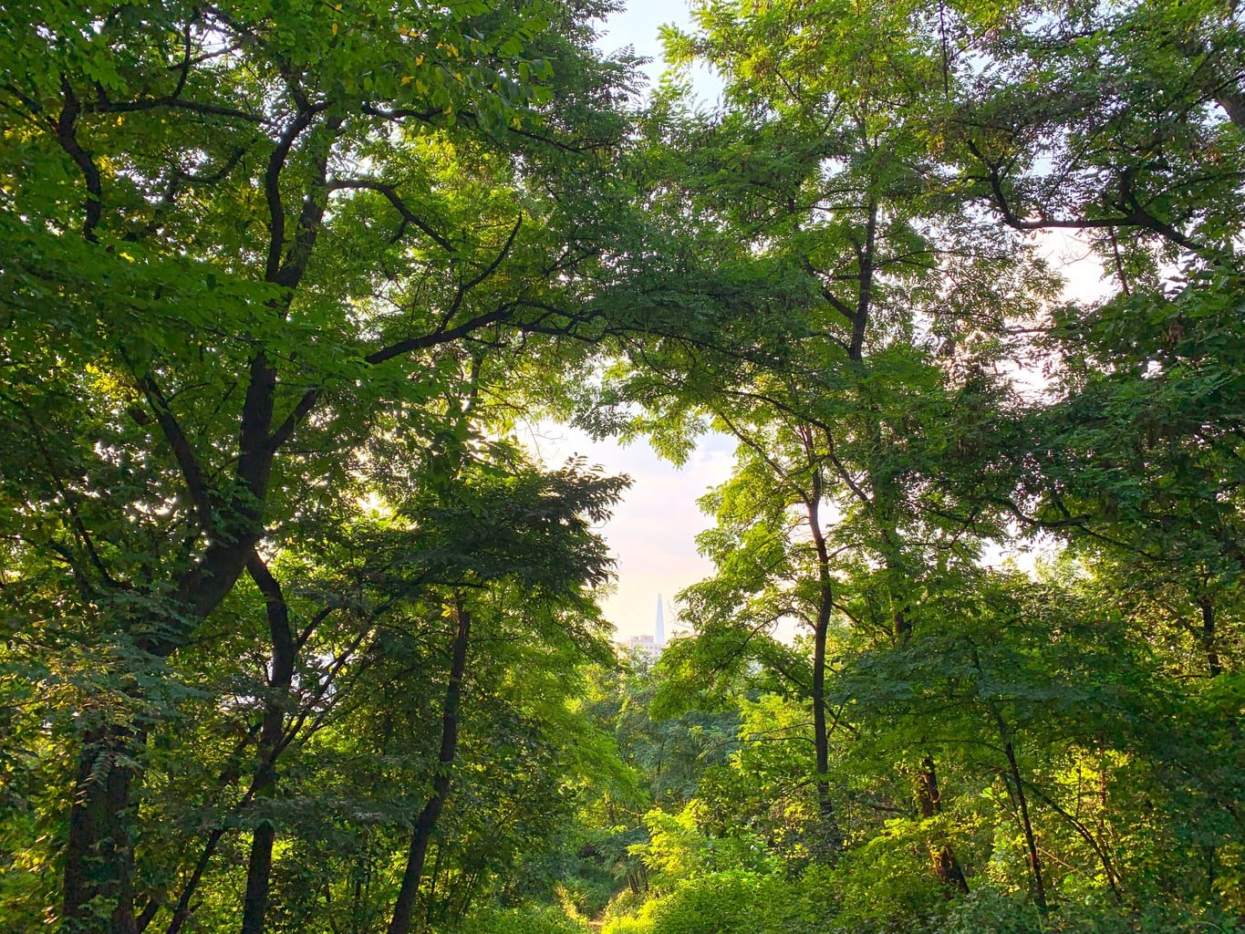 Lotte World Tower can be seen throughout Seoul, even while hiking