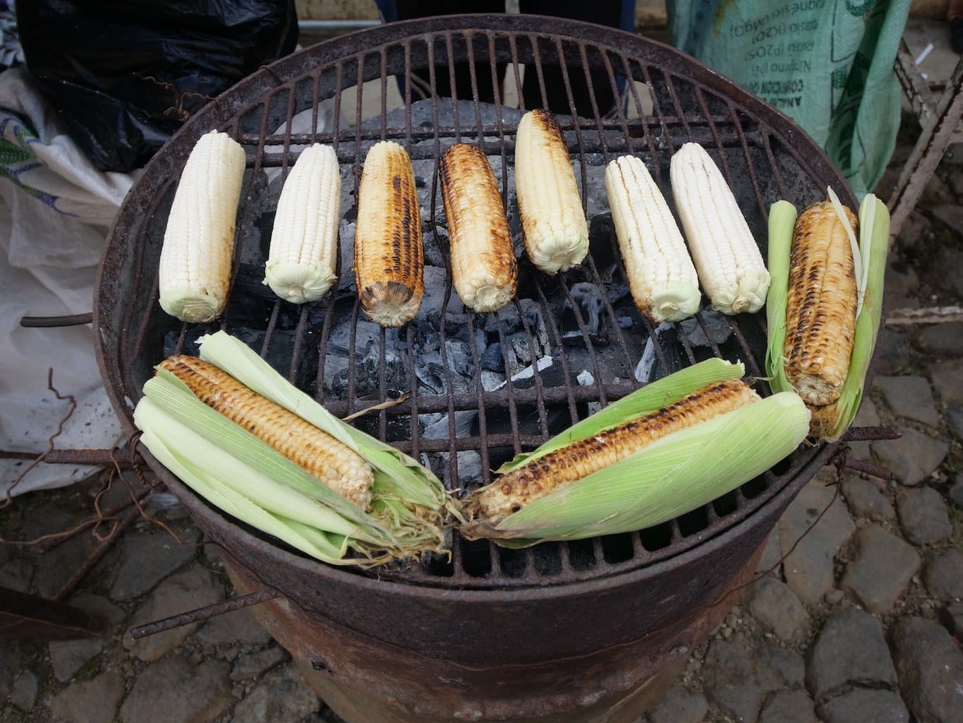 "Salvadorian elotes, corn on the cob"