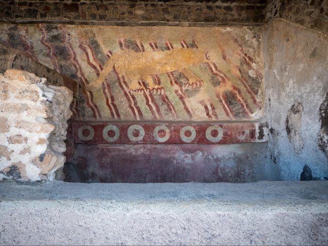 People’s houses and a painting of a tiger 02