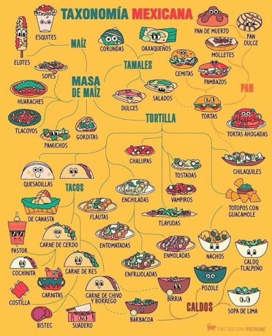 Taxonomy Mexicana