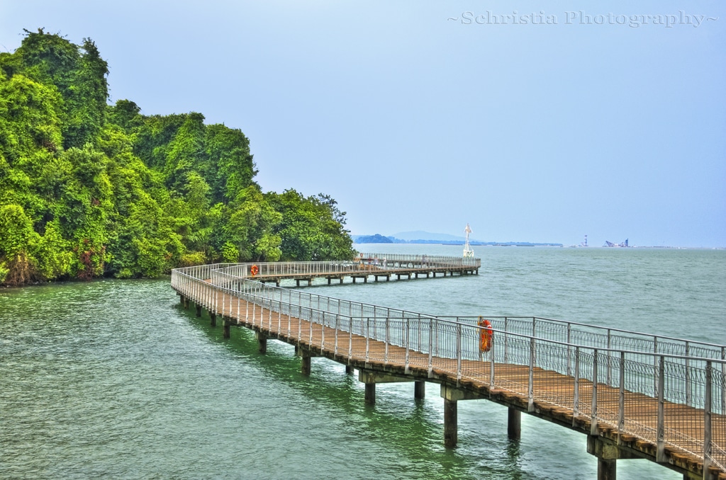 Chek Jawa Boardwalk