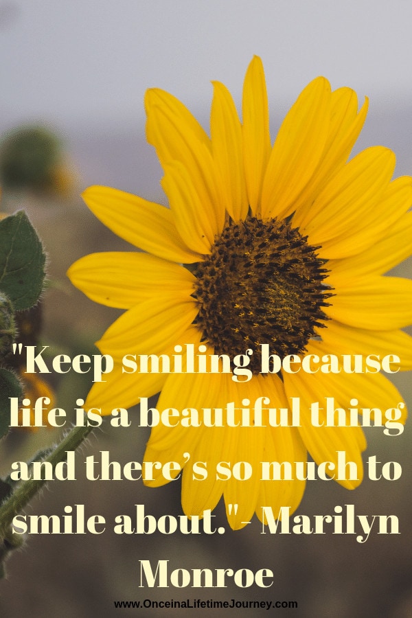 Sunflower Quotes For Instagram